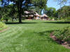 Maintained Winning Colors Turf Type Fescue