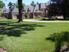 Fescue Sod 1 year after Installation