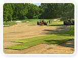 Missouri Turf: St. Louis sod company